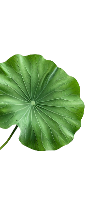 Giới thiệu Bảo Minh